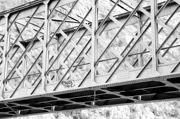 Fish graffiti on an iron railway bridge. (Version françæ) Graffiti de poisson sur æn passerelle de chemin de fer en fer.