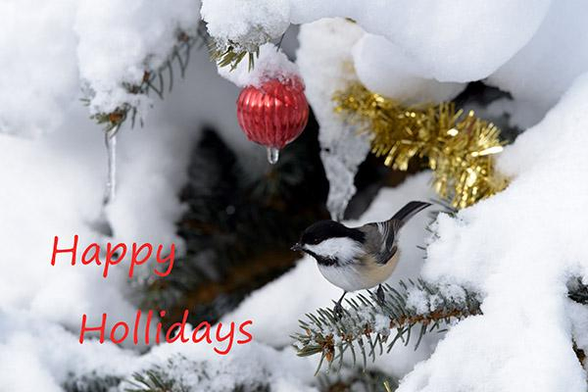 The head of the bird is below and right of the middle of the photo.
Above the middle ia a ornament with a icicle on it.
To the left is a icicle. 
To the right is some golden tinsel.