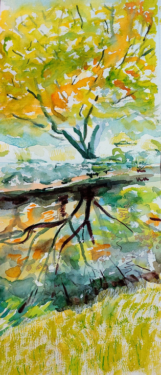 Tree reflected in water