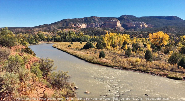 View across a wide semi-arid valley with a broad shallow river running from bottom right to middle left. The river is silty and desert shrubs, grasses, and trees sparsely line its banks. A few autumn yellow cottonwood trees can be seen. Low mountains with steep, exposed cliffs are on the horizon. Clear blue sky.
©BosqueBill.com
