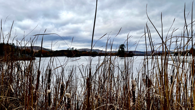 Photograph of a lake and mountains on a cloudy autumn day with cattails across the foreground of the image.