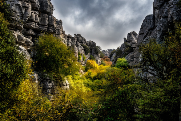 Dramatische Szenerie in einer Felsformation. Hohe, zerklüftete Kalksteingebilde ragen links und rechts auf und rahmen einen Blick in die Mitte ein. Dort mischen sich Bäume und Sträucher mit leuchtend gelben und einigen orange-rötlichen Herbstfarben zwischen dem Grau der Felsen. Das Laub im Vordergrund ist dunkler grün und braun. Über der Szene hängt ein dunkler, bewölkter Himmel mit dramatischen Wolkenstrukturen.