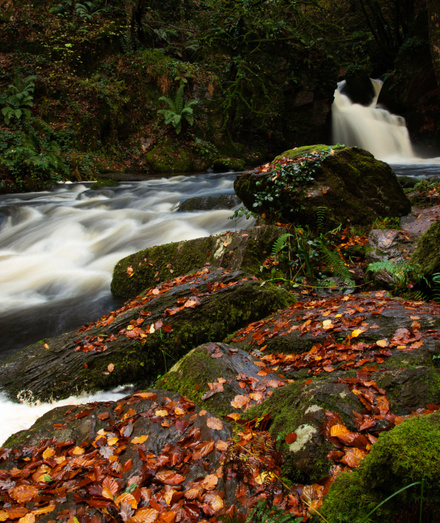 A photo of a waterfall with rocks either side of the fall and more rocks with autumn coloured leaves in the foreground. The stream heads off to the left. The water is blurred by a long exposure.