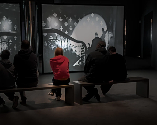 Eine Frau in einem roten Hoodie sitzt vor einer Videoinstallations eines Künstlers im AROS-Museum in Aarhus. Links und rechts sitzen, mit etwas Abstand, weitere Personen und schauen sich das Video an. Die Frau in dem roten Kapuzenpullover bildet den einzigen Farbfleck in dem Bild.
.
A woman in a red hoodie sits in front of a video installation by an artist at the AROS Museum in Aarhus. To her left and right, at a short distance, other people sit and watch the video, too. The woman in the red hoodie is the only coloured spot in the picture.
.