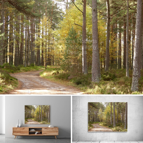 Above coloured photograph featuring the design- 

Scottish Highlands Autumnal Forest.

Lower left design on a Canvas Print on a wall above a living room unit. 

Lower right design on a Canvas Print on an exhibition wall.

I took this photo during a lovely summer nature walk through the Scottish Highlands. 

Features sunlight filtering through tall Pine trees in a dense forest, creating a serene ambiance along a winding dirt path. 

The trees display a mix of green and yellow foliage, suggesting the transition into autumn. 

Mockups combined in a grid format in canva.com 

Click links on the main post for options.



