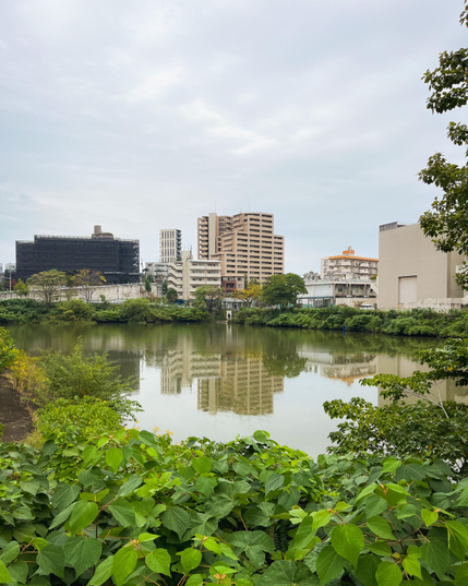Un pequeño lago en los terrenos del campus. En primer plano, vemos bastante vegetación. Al fondo se ven edificios (no sé si del campus o de fuera de este), algunos de los cuales se reflejan en el agua. Cielo nublado pero sin lluvia.