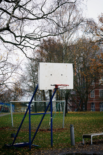 A basketball hoop in an autumny park that looks rather disappointed: two dot’s in the board look like its eyes and the hoop’s posture makes it look somewhat pissed off.
