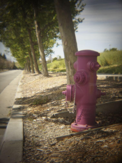 A low-fidelity color photo of a purple fire hydrant and a row of trees receding into the background, along a city street.