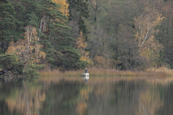 En man står i en roddbåt och fiskar på andra sidan av sjön. Skogen och mannen speglas i det stilla vattnet. 