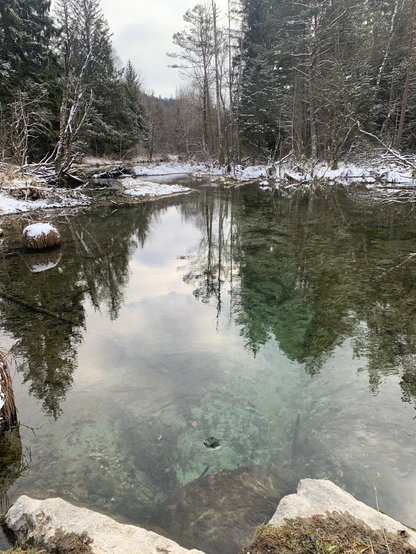 Winterliche Stimmung, Fichten und Sträucher spiegeln sich im Teich.
Im Vordergrund sieht man einen kleinen Strudel.