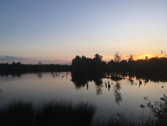 Am rechten Rand des Bildes geht die Sonne unter. Ist bereits hinter den Bäumen am Seerand verschwunden. Abgestorbene Baumstümpfe ragen aus dem Wasser. Der See spiegelt Bäume und das Blau des klaren Himmels. 
Weit hinten am Horizont sind von der untergehenden Sonne beleuchtete Wolkenbänder zu erkennen, die sich ebenfalls im Wasser spiegeln.
Dem Bild fehlt leider der Ruf der Kraniche die beginnen zurück ins Moor zu kommen. 