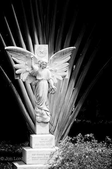 This is a black and white photo in portrait format of an ornate memorial (headstone) with a large tropical fan-shaped bush behind. Singapore (2013).

Slightly to the left of centre is a brilliant white marble headstone in the form of a crucifix with star at the top. On the front of the crucifix is a female angel with her wings outspread, her right arm raised, left arm holding a small wreath and looking downwards. The crucifix is mounted on three tiered plinths or blocks, each with a few lines of Armenian script. To the right is a small low, bush. Behind is a large, about two metres tall, fan shapes shrub, with about fifteen to twenty long leaves or branches. The background is deep in shadow.
The location is in the churchyard of the Armenian Church of Saint Gregory the Illuminator, also locally known as the Armenian Church in Singapore.