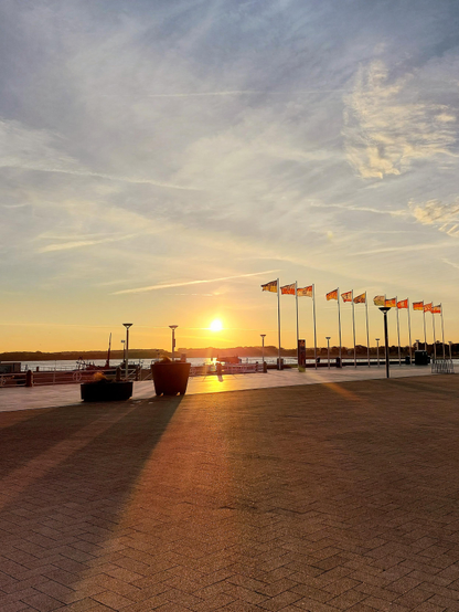 Morning atmosphere at a pier. The sun has just risen above the forest in the background of the picture and is sending its golden rays onto the water and the seaside promenade. Pale blue sky with wispy clouds. At the pier there is a row of flagpoles with colourful flags, lanterns and planted pots. There are no people to be seen far and wide. An atmosphere of peace and tranquillity reigns over everything.