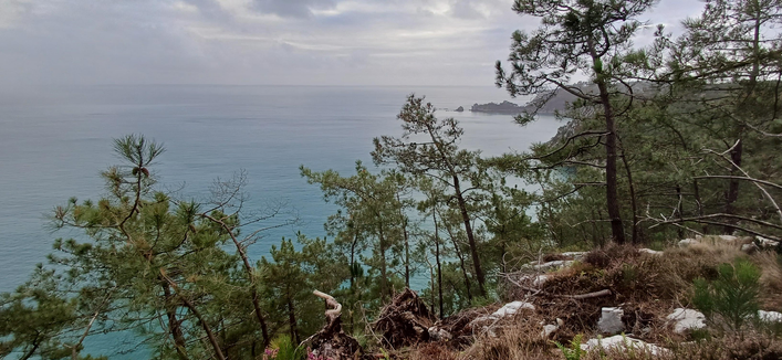 Île Vierge 
Bretagne