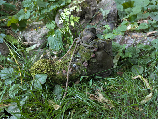 Vieille chaussure en cuir de randonnée recouverte de mousse et végétation.
Old leather hiking shoe covered with moss and vegetation.
Vieja bota de senderismo de cuero cubierta de musgo y vegetación.