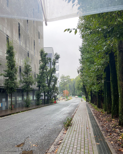 Una de las calles del campus con un edificio a un lado y un bosque con árboles al otro. No se aprecia bien, pero estaba lloviendo. En la parte superior de la foto se ve un poco del paraguas transparente que llevaba (lo tomé prestado del Departamento, creo).