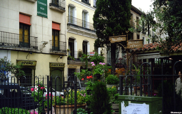 Madrid - Calle de las Huertas - mercadillo de flores