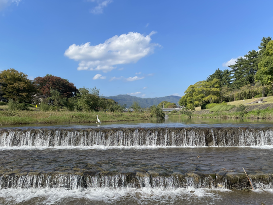 Northern reaches of the river Kamogawa that runs through the heart of Kyōto, with an egret left of the middle
