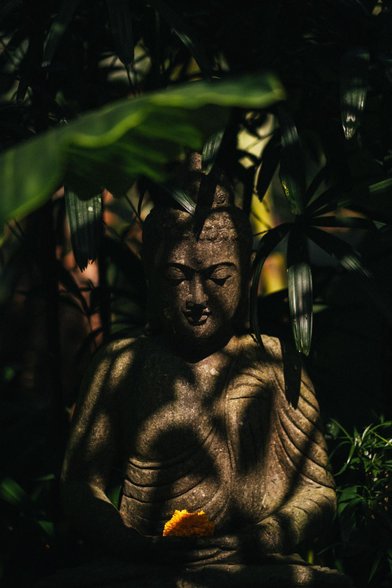 The depiction presents Buddha amidst interplay of sunlight and shadows.