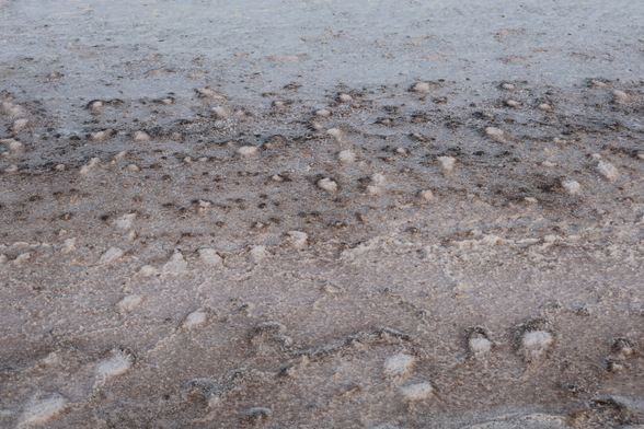 Crust on a salt lake in South Australia. You can lick your finger and touch the salt, taste it.