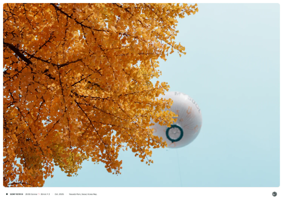 노란 은행나무 단풍 위로 열기구가 희미하게 보이는 모습.