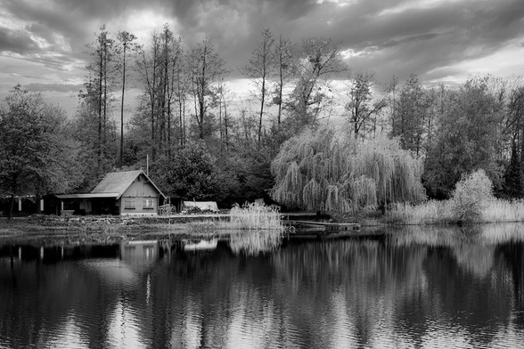 Im Vordergrund sieht man einen relativ ruhigen See. Dann kommt das gegenüberliegende Ufer, auf dem ein kleines Haus steht. Rechts davon ist eine große Trauerweide zu sehen. Dahinter sind Bäume mit unterschiedlichen Größen zu sehe. Das Foto ist in Schwarzweis.