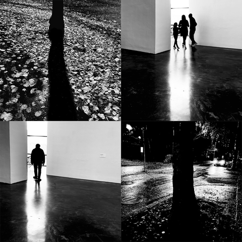 A collage of black-and-white images featuring shadows, silhouetted people in an art museum setting with white walls, and lone trees in dark and rainy streets.
