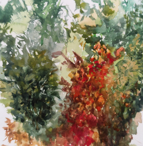 Natural textures
#watercolor #art #nature 
#trees #flowers 