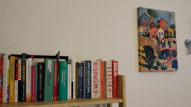 some books on a shelf and the picture "Morro da Favela", by Tarsila do Amaral