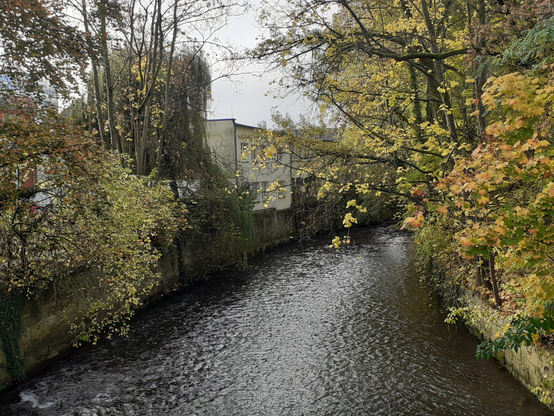 #Coburg #Frankonia #Germany 
#photo #photography #photos 
#pictures #picture #photographie 