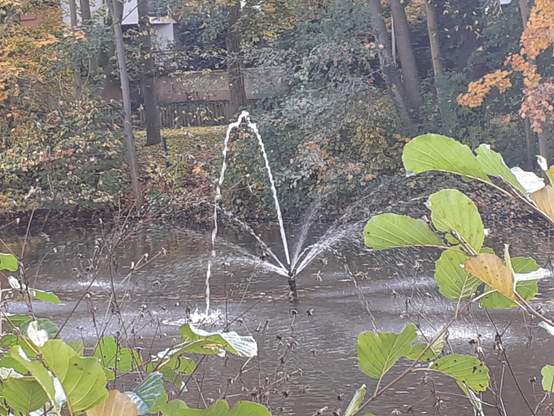 #Coburg #Frankonia #Germany 
#photo #photography #photos 
#pictures #picture #photographie 