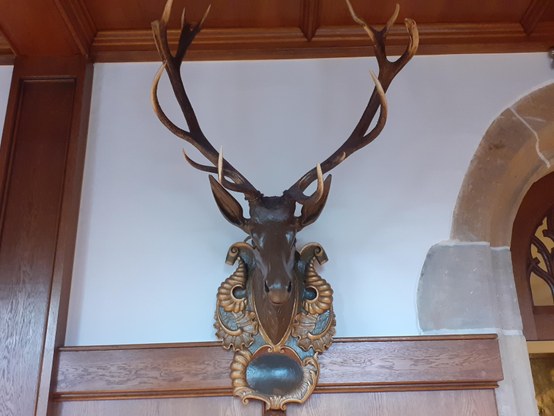 #Veste #Coburg #Frankonia #Germany 
#photo #photography #photos 
#pictures #picture #photographie