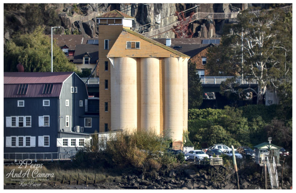 A photograph of the historic silos in Launceston, Tasmania, featuring three prominent cream coloured cylindrical silos topped with a gabled yellow structure.

The silos stand in front of a steep, rocky cliff face with some red stairs visible. To the left is a contrasting large, dark blue multi story building. The foreground shows the rocky riverbank and some foliage.