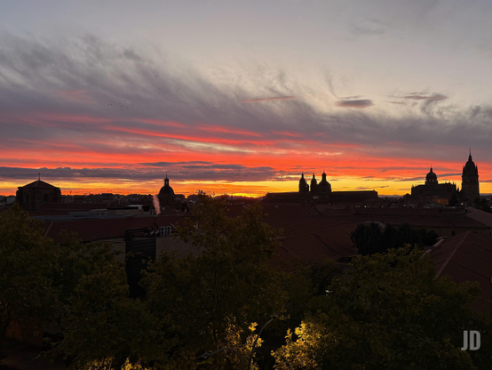 Una vista panorámica de una ciudad al amanecer, con un cielo espectacular dominado por intensos tonos de rojo, naranja y amarillo brillante cerca del horizonte, que se desvanecen en grises y púrpuras más oscuros hacia la parte superior. Las nubes alargadas y dispersas están teñidas con estos colores vibrantes, y pequeñas siluetas de pájaros se ven volando. En el horizonte, las siluetas oscuras de una ciudad histórica se dibujan contra el cielo luminoso. Se distinguen múltiples edificios con cúpulas prominentes y varias torres, incluyendo lo que parece ser una gran catedral o complejo monumental con una torre alta y esbelta a la derecha. En el primer plano, la parte inferior de la imagen está ocupada por la silueta oscura de copas de árboles y follaje, apenas iluminados en algunos puntos, que enmarcan la vista de la ciudad.
