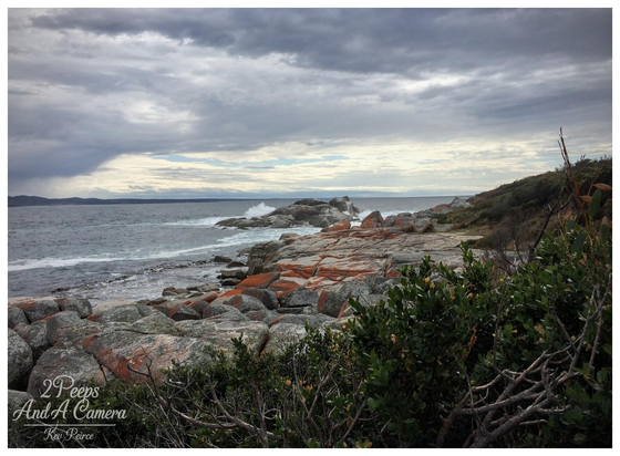A photograph of a rugged coastline under a dramatic, cloudy sky.

Large grey boulders covered in bright orange lichen line the shore and lead out into the ocean where waves crash against them.

Coastal scrub and green foliage frame the right and bottom foreground.