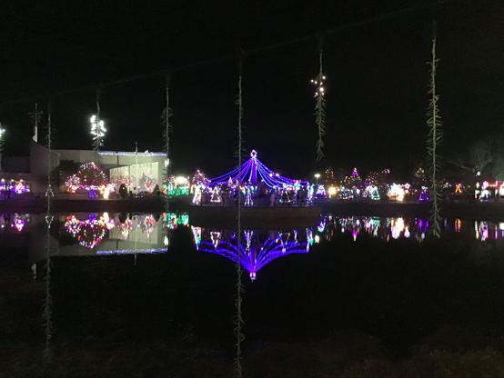 Colorful Christmas lights at a distance reflected in a pond.