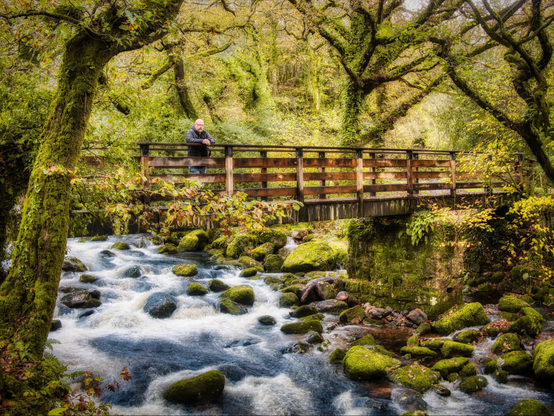Man standing on a bridge in autumn