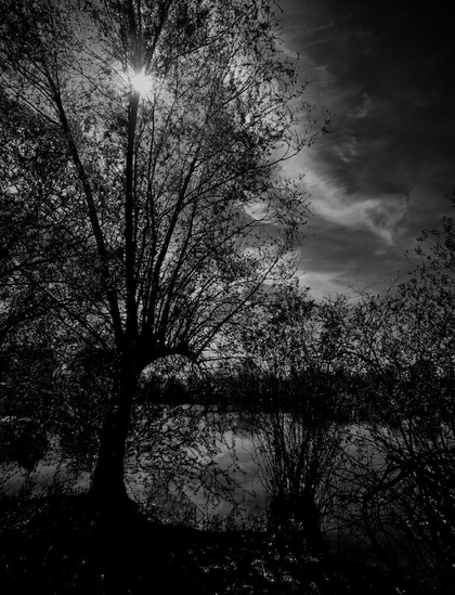 Eine dunkle Landschaftsaufnahme an einem See. Im Vordergrund steht ein großer Baum wo im oberen Bereich die Sonne durch die Äste strahlt. Rechts vom Baum sind Sträucher am Ufer. Der See liegt ruhig im Hintergrund. Am Himmel kommen von Rechts dunkle Wolken. Das Foto ist in Schwarzweiß.