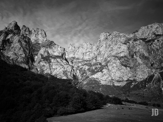 Una imagen en blanco y negro de un imponente paisaje montañoso. Grandes picos rocosos y escarpados dominan el centro y la parte superior, mostrando texturas detalladas y fuertes contrastes de luz y sombra que acentúan sus formaciones. El lado izquierdo de las montañas está mayormente en sombra, mientras que el lado derecho está iluminado por el sol. En la base de las montañas, una densa banda de árboles oscuros crea una línea que se extiende por la parte inferior izquierda. Debajo de esta franja de árboles y extendiéndose hacia la derecha, hay un prado iluminado donde varias vacas oscuras pastan. El cielo sobre las montañas presenta nubes tenues.