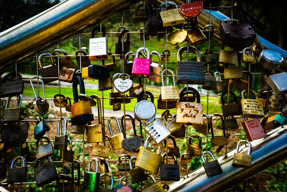 A close-up photograph shows a metal structure heavily adorned with numerous padlocks of varying sizes, colors, and materials. The locks are attached to a curved, dark-colored metal bar, creating a dense accumulation. Many of the locks feature stickers or engravings on their surfaces, with visible text on some. The background is a blurry mix of green foliage and natural light, suggesting an outdoor setting. The composition emphasizes the sheer number of locks and the visual texture they create. 

Some visible text on the locks includes: "Tony & Sheena," "Bor – Lika," and “Alla May & Nikita Susina 2023.”

Provided by @altbot, generated privately and locally using Gemma3:27b