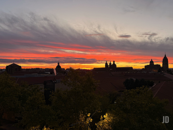 Una vista panorámica de una ciudad al amanecer, con un cielo espectacular dominado por intensos tonos de rojo, naranja y amarillo brillante cerca del horizonte, que se desvanecen en grises y púrpuras más oscuros hacia la parte superior. Las nubes alargadas y dispersas están teñidas con estos colores vibrantes, y pequeñas siluetas de pájaros se ven volando. En el horizonte, las siluetas oscuras de una ciudad histórica se dibujan contra el cielo luminoso. Se distinguen múltiples edificios con cúpulas prominentes y varias torres, incluyendo lo que parece ser una gran catedral o complejo monumental con una torre alta y esbelta a la derecha. En el primer plano, la parte inferior de la imagen está ocupada por la silueta oscura de copas de árboles y follaje, apenas iluminados en algunos puntos, que enmarcan la vista de la ciudad.