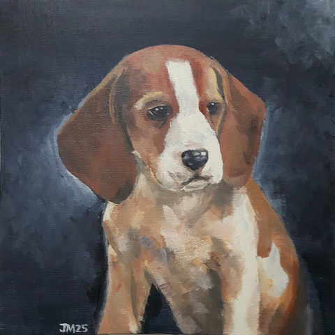 acrylic portrait of a beagle pup