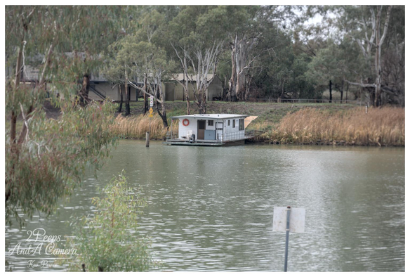 A small, white, flat roofed houseboat is moored to the bank of a wide, tranquil river, surrounded by tall reeds and native Australian trees with pale trunks.

The scene is overcast, giving the water a calm, grey green hue.