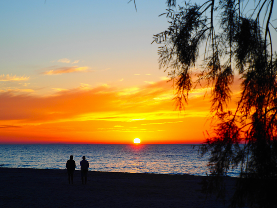 Silhouettes of two people walking on a beach at sunset, with vibrant orange and blue hues in the sky and a silhouetted branch in the foreground.