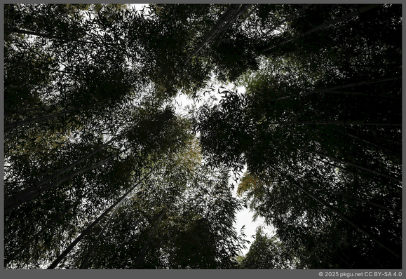 Baegundong garden, Gangjin, Jeollanam-do, Korea.