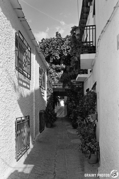 Black and white photo of a narrow Capileira alleyway between buildings, lined with potted plants and shaded by leafy vines. Sunlight casts shadows on textured walls, creating a calm, picturesque scene.