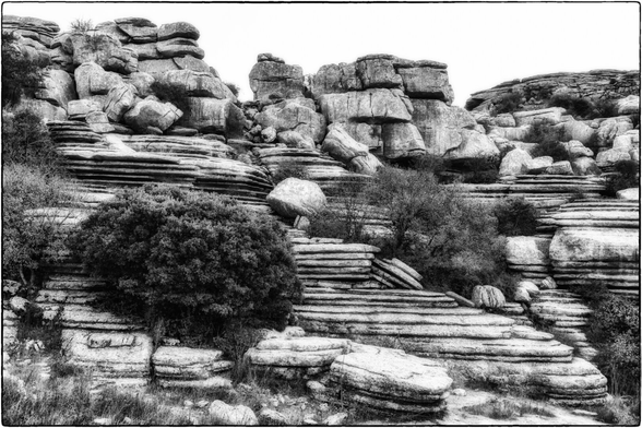 Schwarz-Weiss-Aufnahme einer extrem zerklüfteten Karstlandschaft, die von horizontalen Felsformationen dominiert wird.

Die Szene ist gefüllt mit Kalkstein, der in auffälligen, fast perfekten horizontalen Schichten liegt. Diese Schichten ähneln gestapelten Pfannkuchen oder Platten und erstrecken sich in die Tiefe und Breite des Bildes.

Im Zentrum und im Vordergrund kontrastiert ein grosser, dunkler, dichter Busch stark mit den hellen Felsen. Weitere kleinere Bäume und Sträucher wachsen zwischen den Steinen.

Im oberen Bereich türmen sich massive, abgerundete Felsbrocken und Felsblöcke auf. Die gesamte Formation erzeugt den Eindruck einer surrealen, gestuften Architektur.

Der Himmel im oberen Drittel ist hell und fast weiss, was die Textur und den starken Kontrast der dunklen Pflanzen und der hellen, zerfurchten Felsen besonders hervorhebt.
