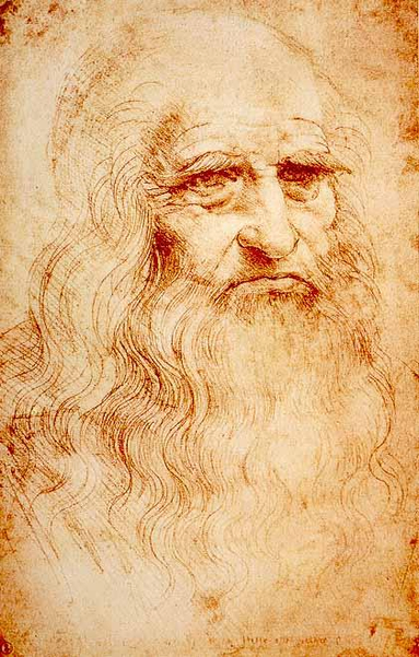 Self-portrait by Leonardo, ~1510–1515, red chalk, Turin, Royal Library, inv. no. 15571

The drawing presents the head and shoulders of Leonardo in three-quarter view, turned slightly to his left.

He has long, wavy hair falling to his shoulders, a full beard and moustache, and a furrowed brow. The hair and beard are depicted with flowing lines of chalk.

The face shows signs of advanced age: deeper lines, pronounced cheekbones, bags beneath the eyes, and sagging of features. 

https://it.wikipedia.org/wiki/Leonardo_da_Vinci#/media/File:Leonardo_self.jpg