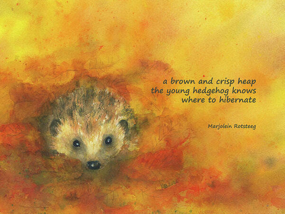 a brown and crisp heap
the young hedgehog knows
where to hibernate

A small hedgehog peers curiously out of a pile of vibrant autumn leaves that he has gathered for the winter. Its brown fur blends harmoniously into the warm tones of the surroundings bathed in the golden autumn sun. The background features rich, warm colors, creating a cozy atmosphere.
Hedgehog in autumn foliage is a hand-painted watercolour painting by artist Karen Kaspar.

This artwork, a combination of painting and haiku, is a joint project by Karen Kaspar (© art) and Marjolein Rotsteeg (© Haiku).
A haiku is a traditional Japanese poetry form consisting of three lines.

Here the watercolor painting was supplemented with the haiku in English.