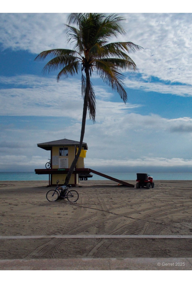 A palm tree leans over a yellow lifeguard hut on a sandy beach. A bicycle is parked nearby, with a blue sky and calm ocean in the background.